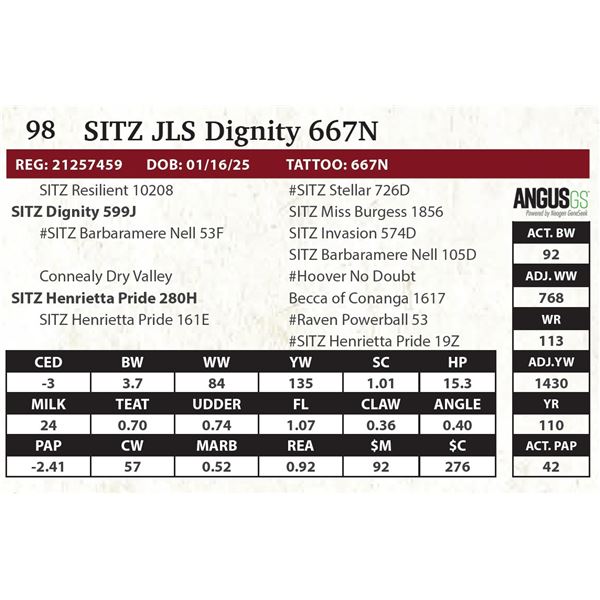 SITZ JLS Dignity 667N