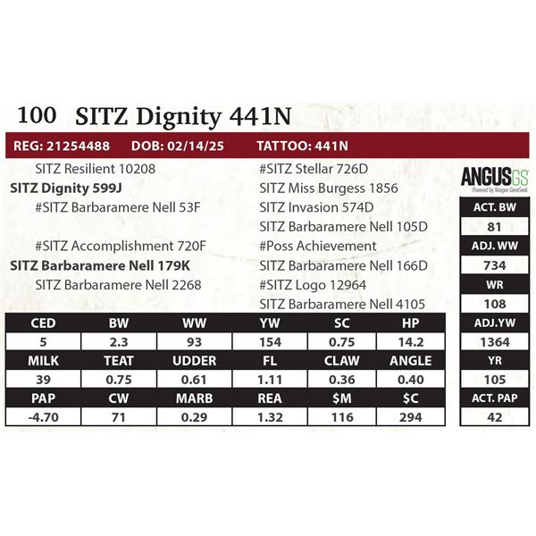 SITZ Dignity 441N