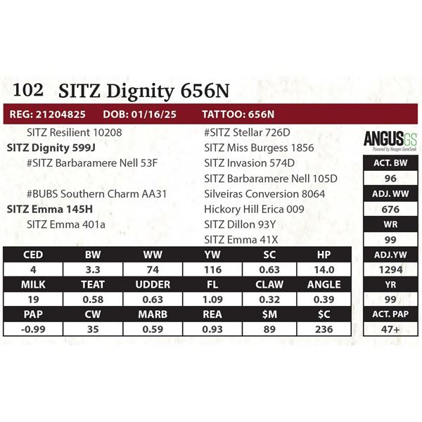 SITZ Dignity 656N