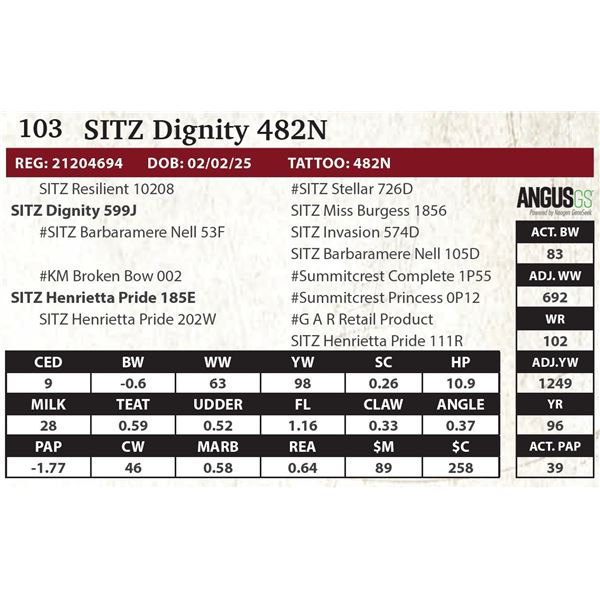 SITZ Dignity 482N