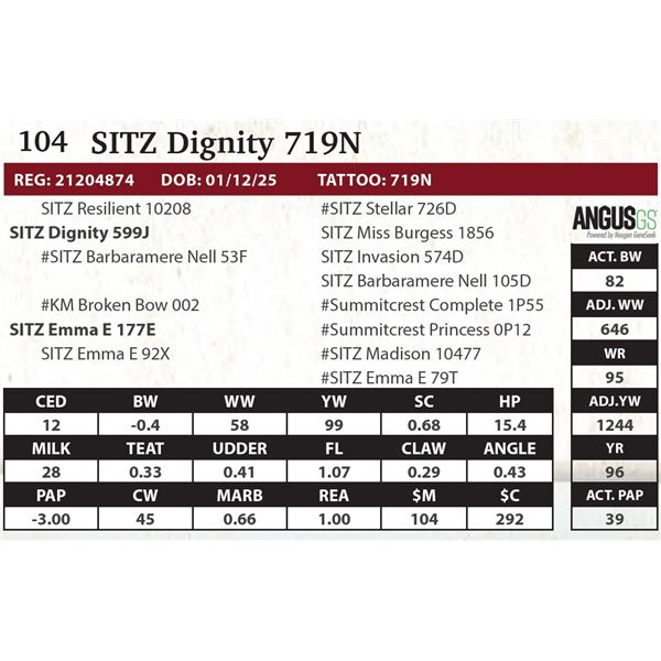 SITZ Dignity 719N