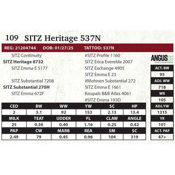 SITZ Heritage 537N