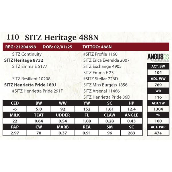 SITZ Heritage 488N