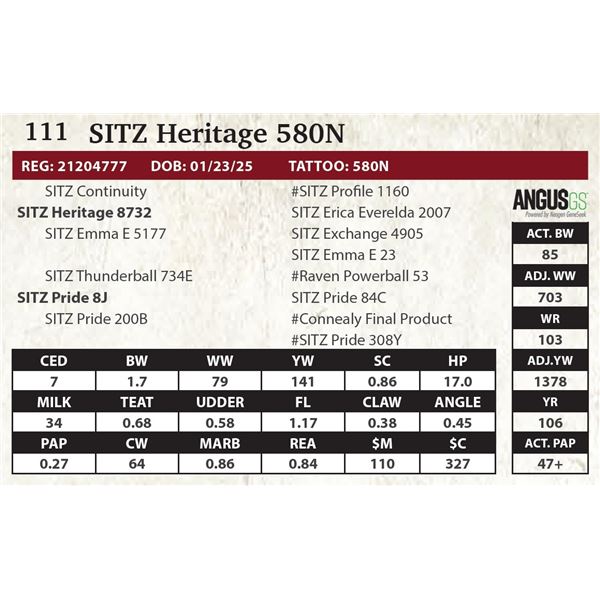 SITZ Heritage 580N