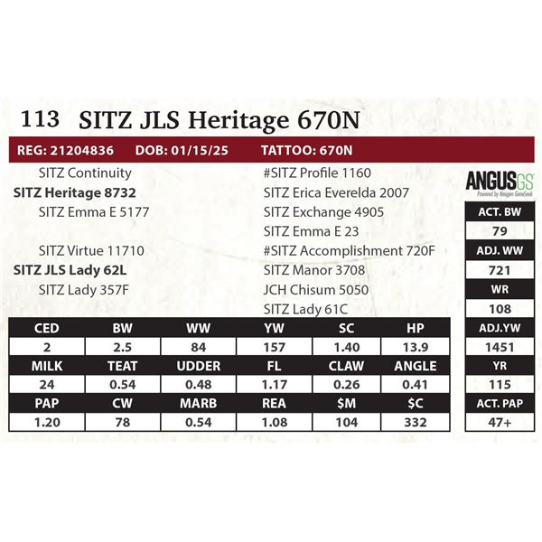 SITZ JLS Heritage 670N