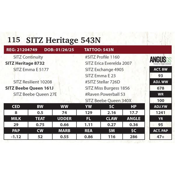 SITZ Heritage 543N