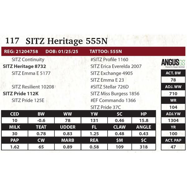 SITZ Heritage 555N