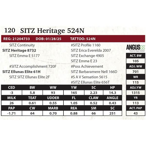 SITZ Heritage 524N