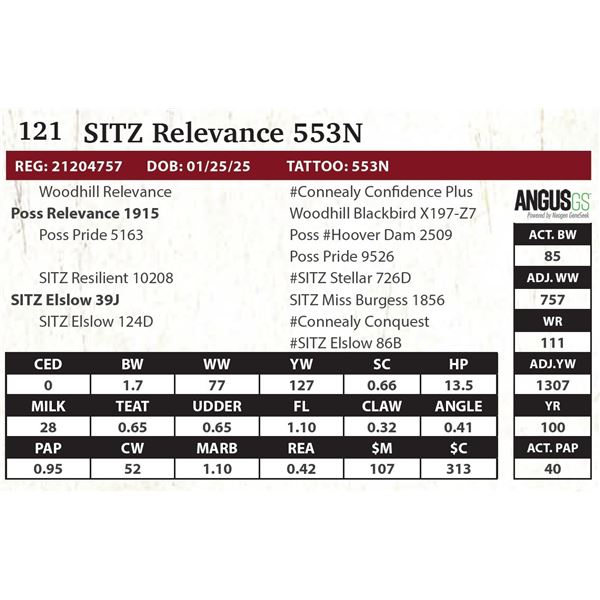 SITZ Relevance 553N