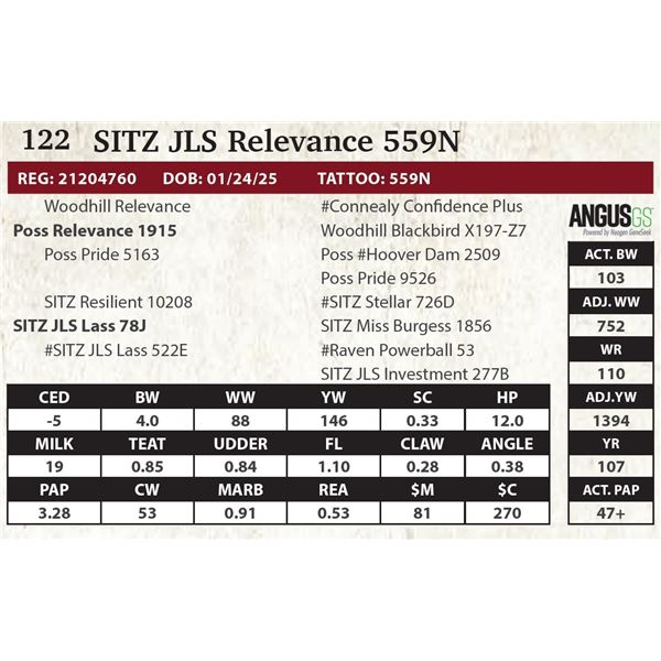SITZ JLS Relevance 559N