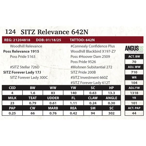 SITZ Relevance 642N