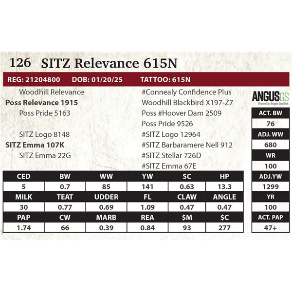 SITZ Relevance 615N