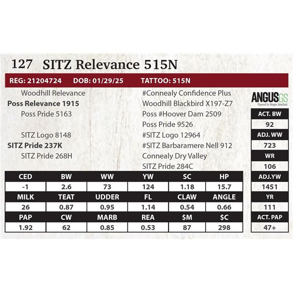 SITZ Relevance 515N