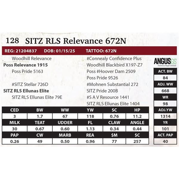 SITZ RLS Relevance 672N