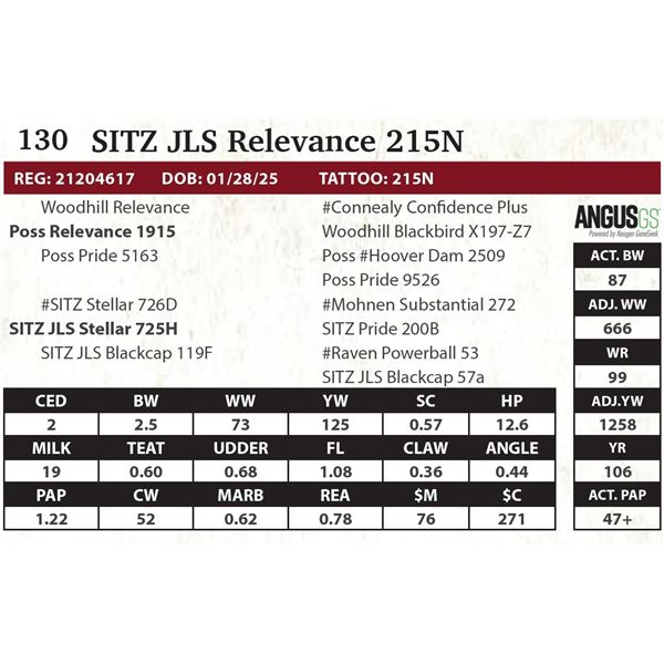 SITZ JLS Relevance 215N