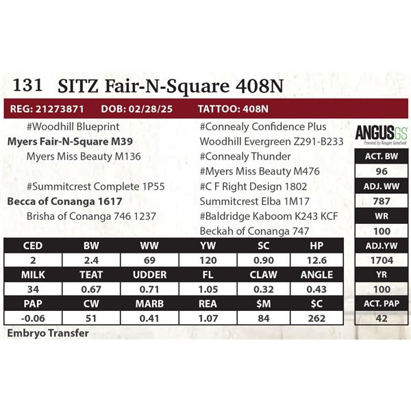 SITZ Fair-N-Square 408N