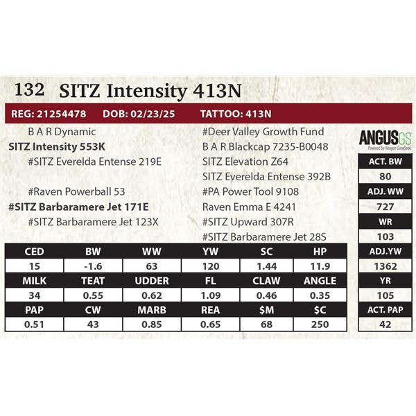 SITZ Intensity 413N