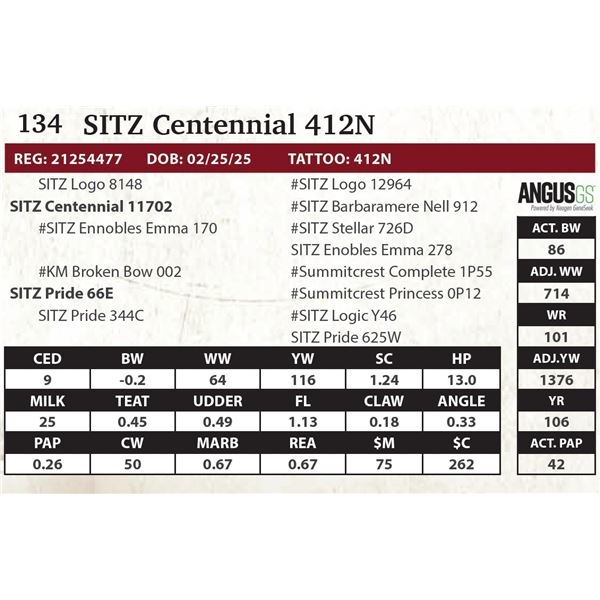 SITZ Centennial 412N