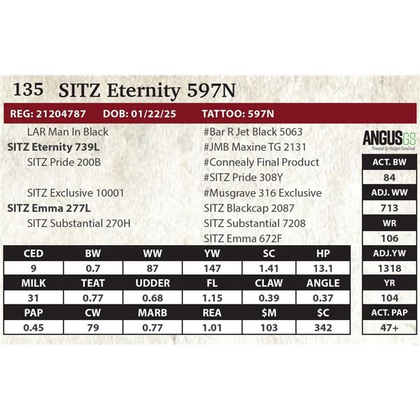 SITZ Eternity 597N