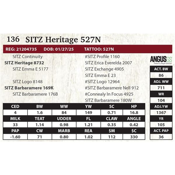 SITZ Heritage 527N