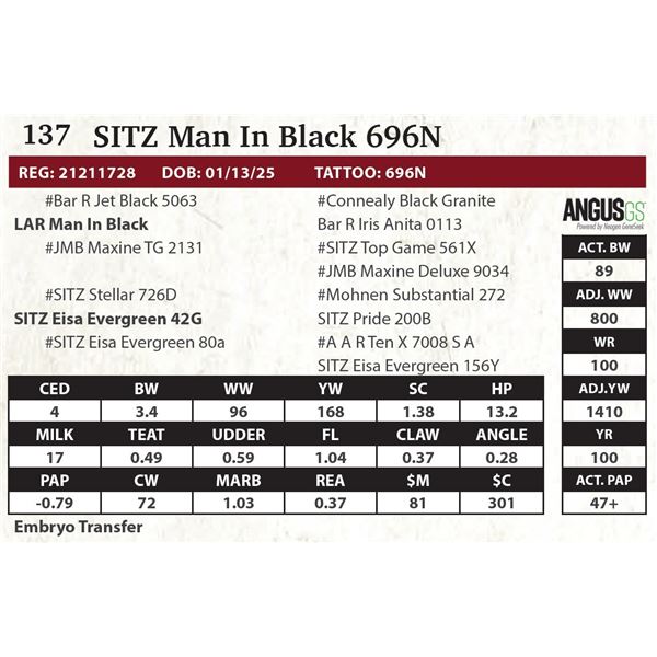 SITZ Man In Black 696N
