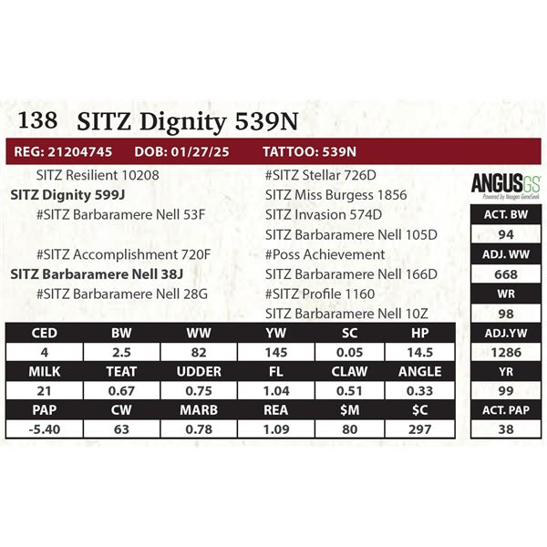 SITZ Dignity 539N