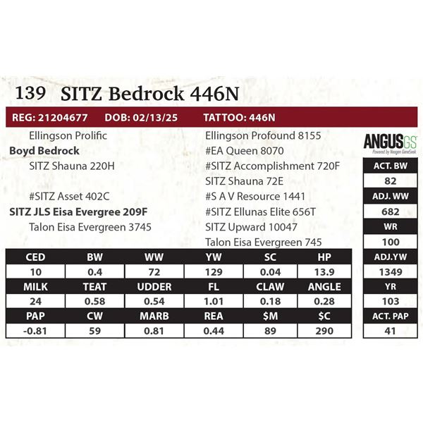 SITZ Bedrock 446N