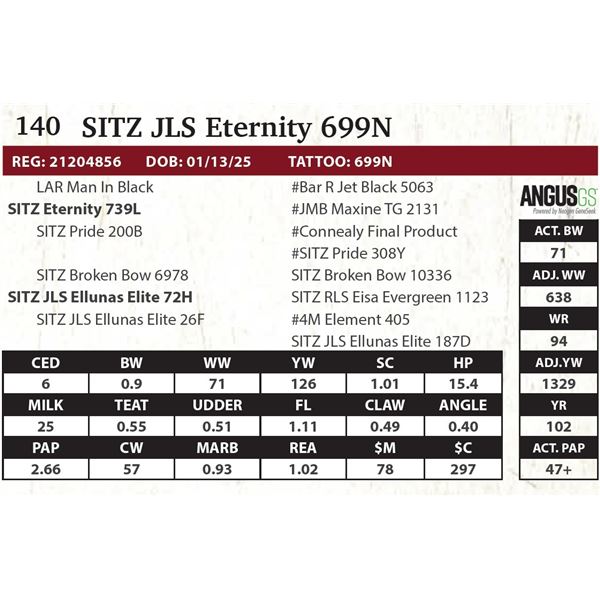 SITZ JLS Eternity 699N