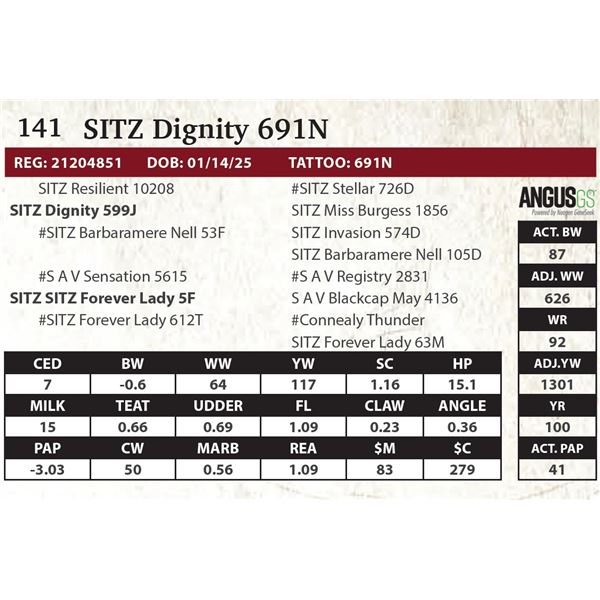 SITZ Dignity 691N