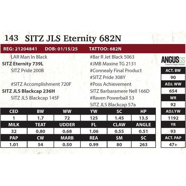 SITZ JLS Eternity 682N