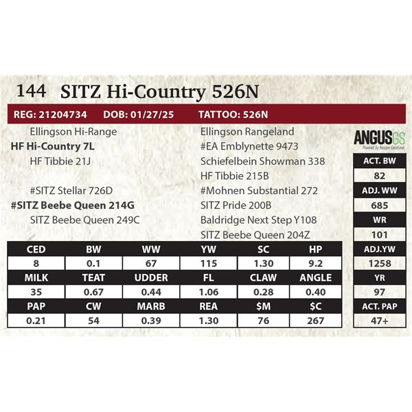 SITZ Hi-Country 526N