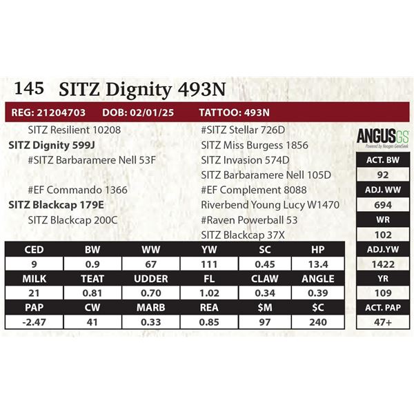 SITZ Dignity 493N