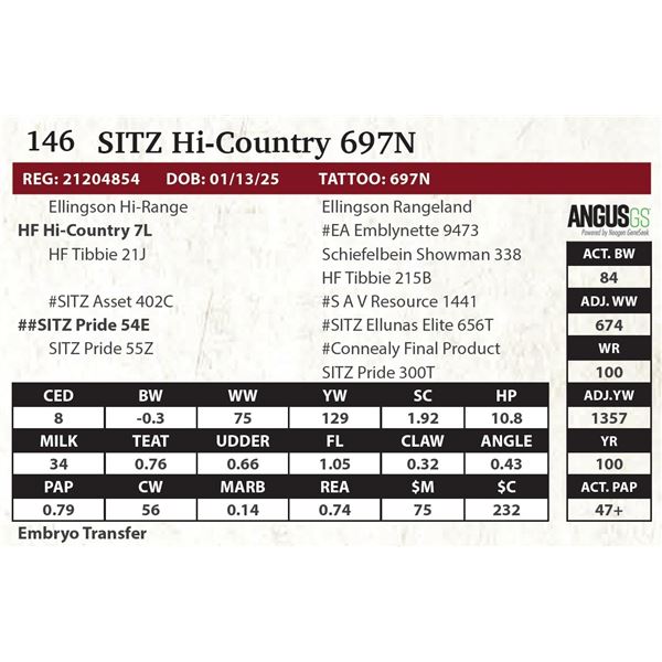 SITZ Hi-Country 697N