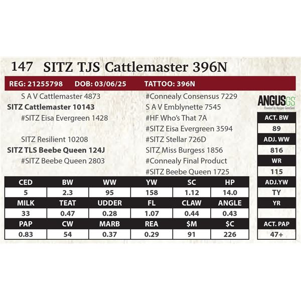 SITZ TJS Cattlemaster 396N