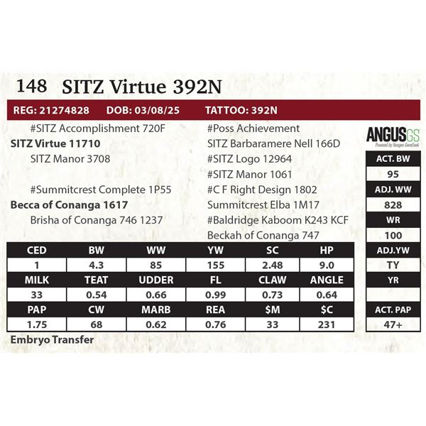 SITZ Virtue 392N