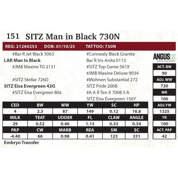 SITZ Man in Black 730N