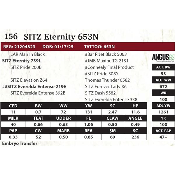 SITZ Eternity 653N
