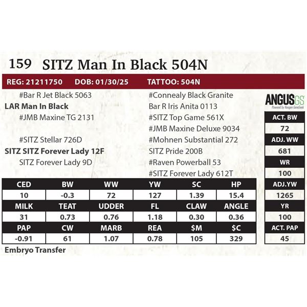 SITZ Man In Black 504N