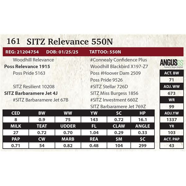 SITZ Relevance 550N
