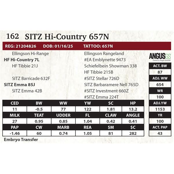 SITZ Hi-Country 657N