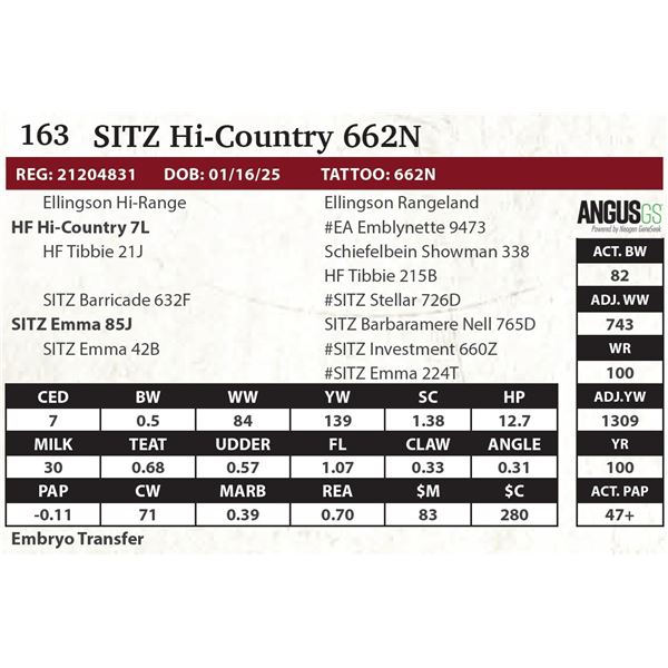 SITZ Hi-Country 662N