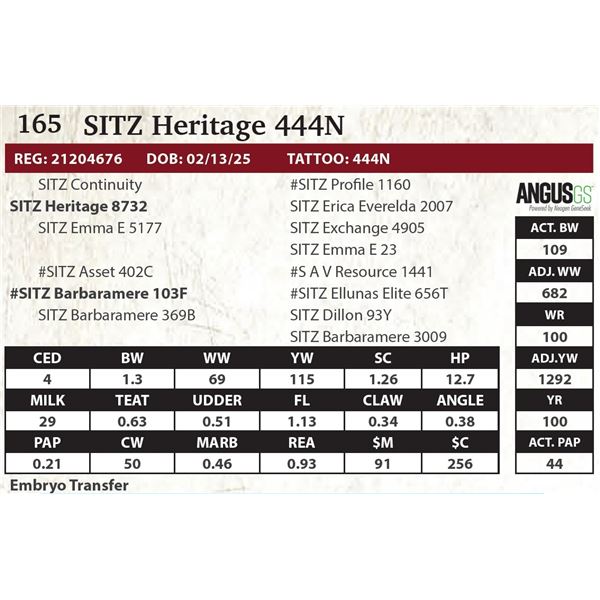 SITZ Heritage 444N