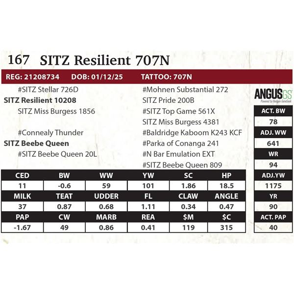 SITZ Resilient 707N
