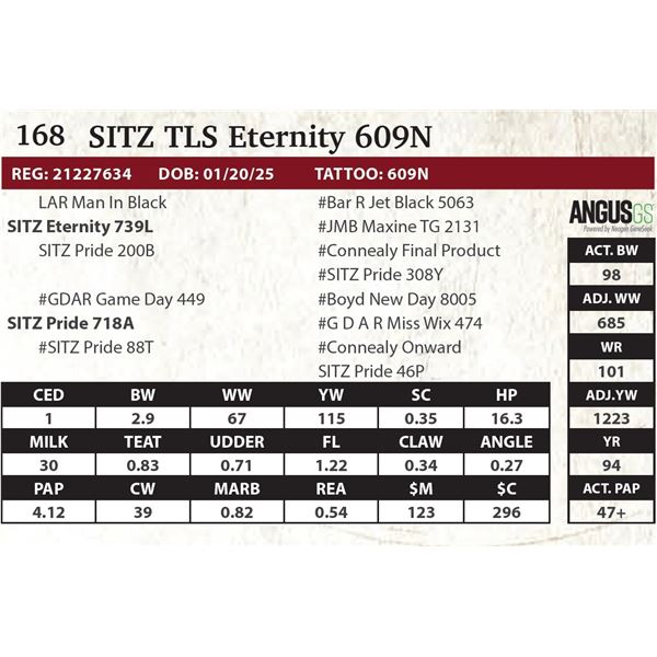 SITZ TLS Eternity 609N