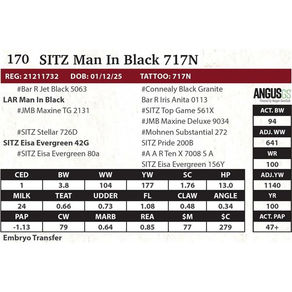 SITZ Man In Black 717N