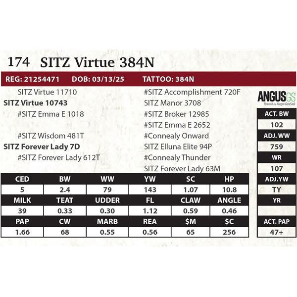 SITZ Virtue 384N