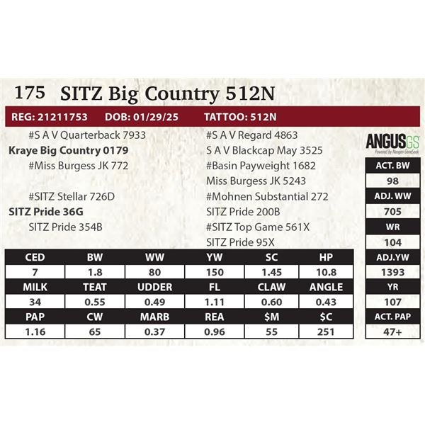 SITZ Big Country 512N