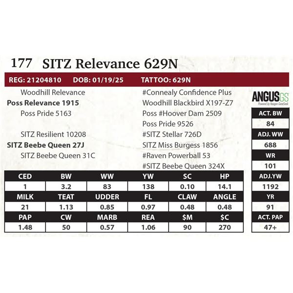 SITZ Relevance 629N
