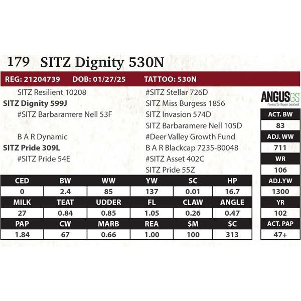 SITZ Dignity 530N