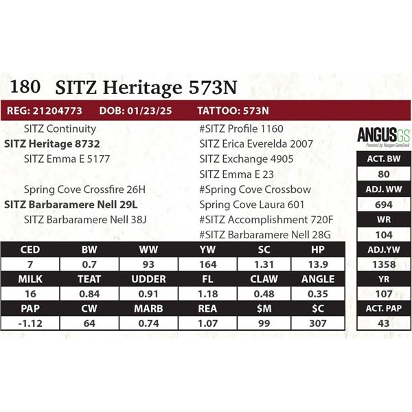 SITZ Heritage 573N